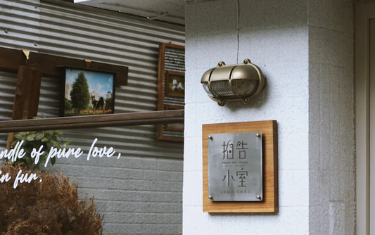 黃銅有什麼好?這些細節保證你愛上
