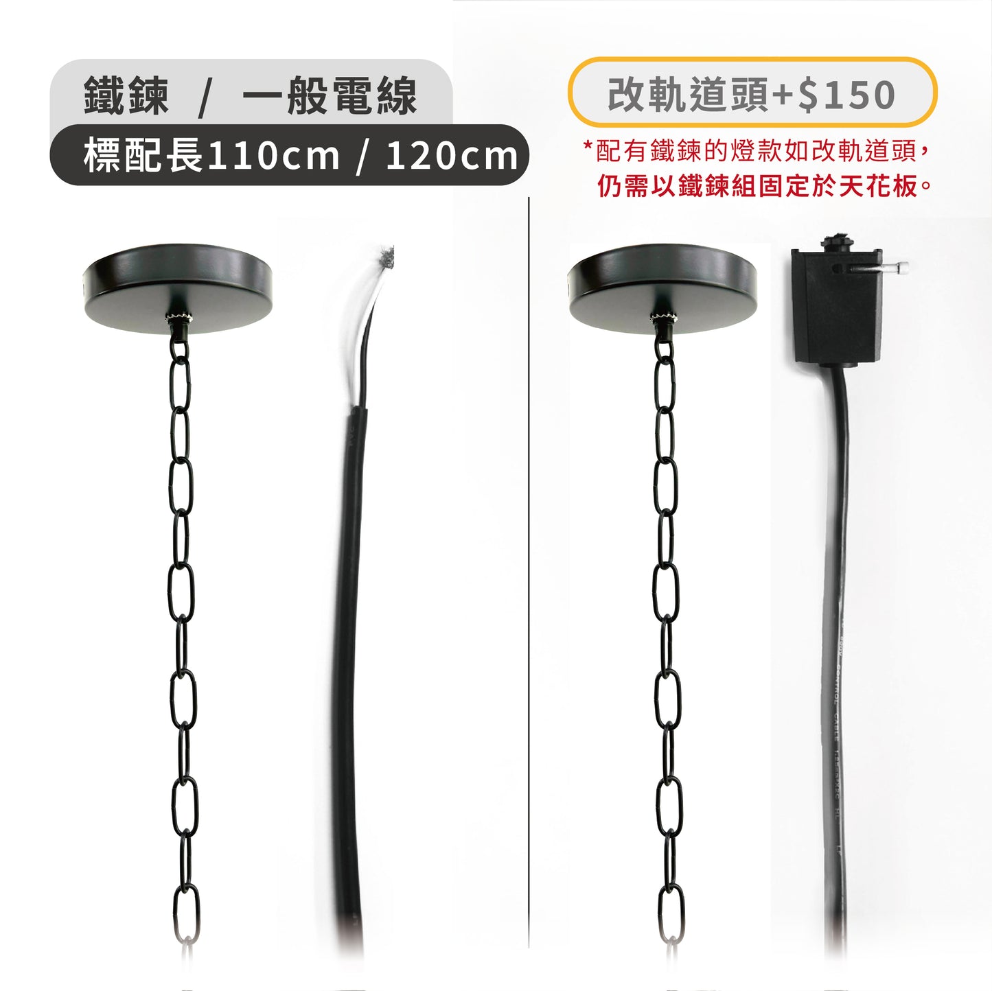 Euphotic Light Translucent Light-Large