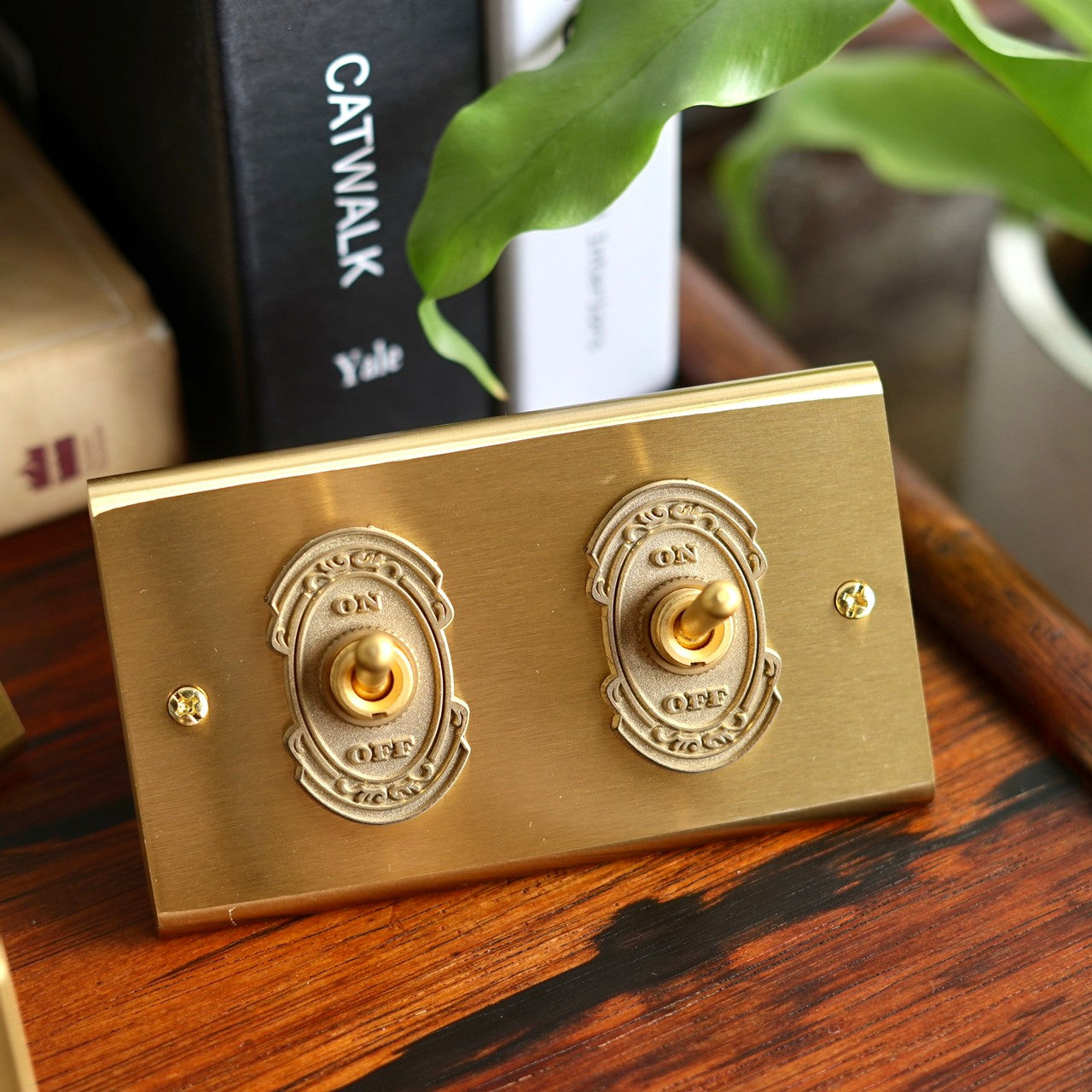 Brass switch panel-lever