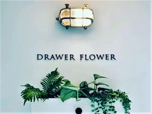 [日式無印風]Drawer Flower 抽屜花藝