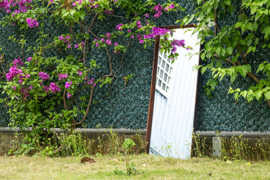 丹麥 玫瑰木 全身鏡 OLDANMARK