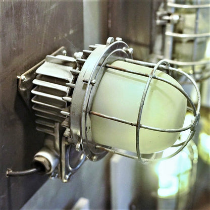 Cast aluminum mesh explosion-proof wall light