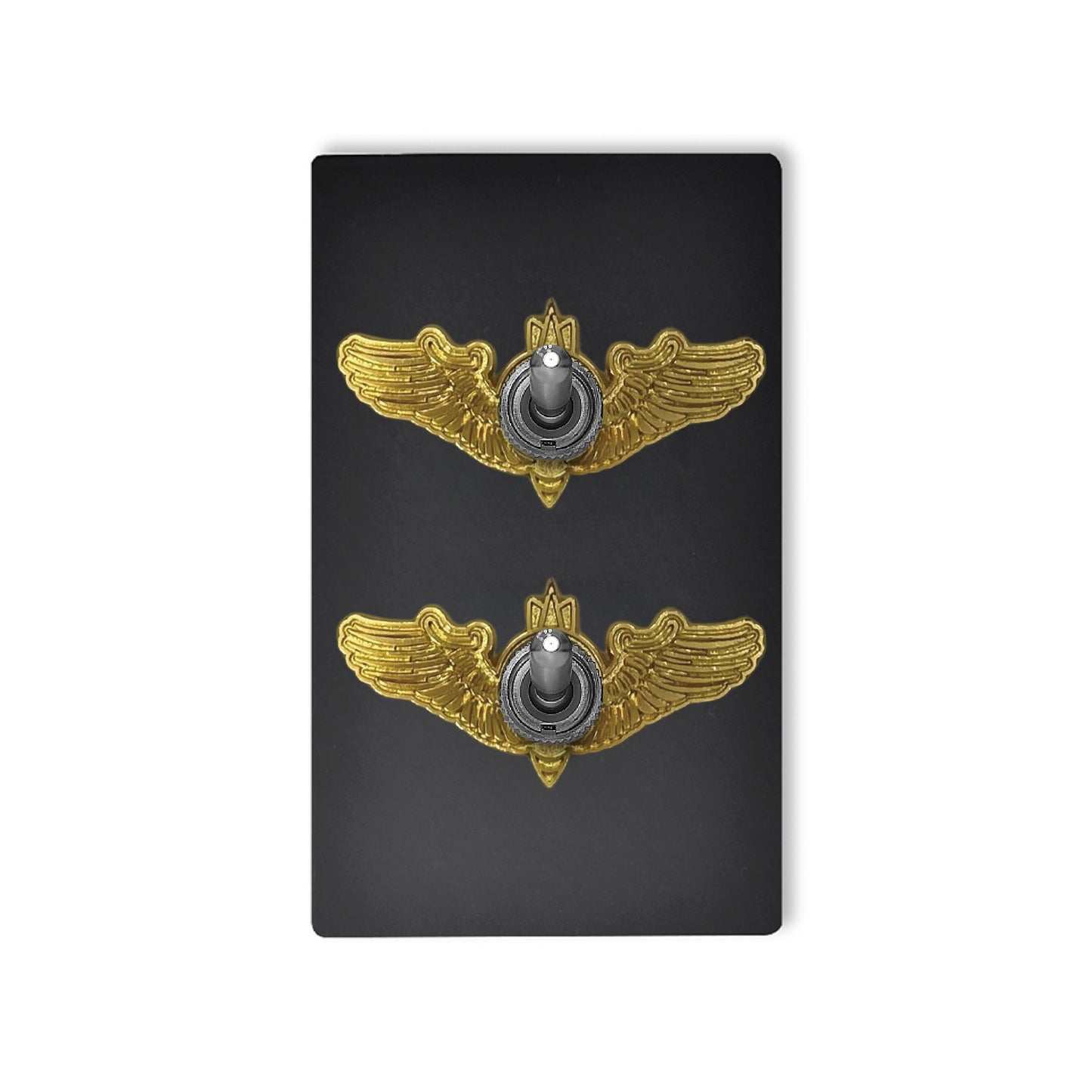 消光黑無螺絲面板-撥桿 DnH LOFT Shop