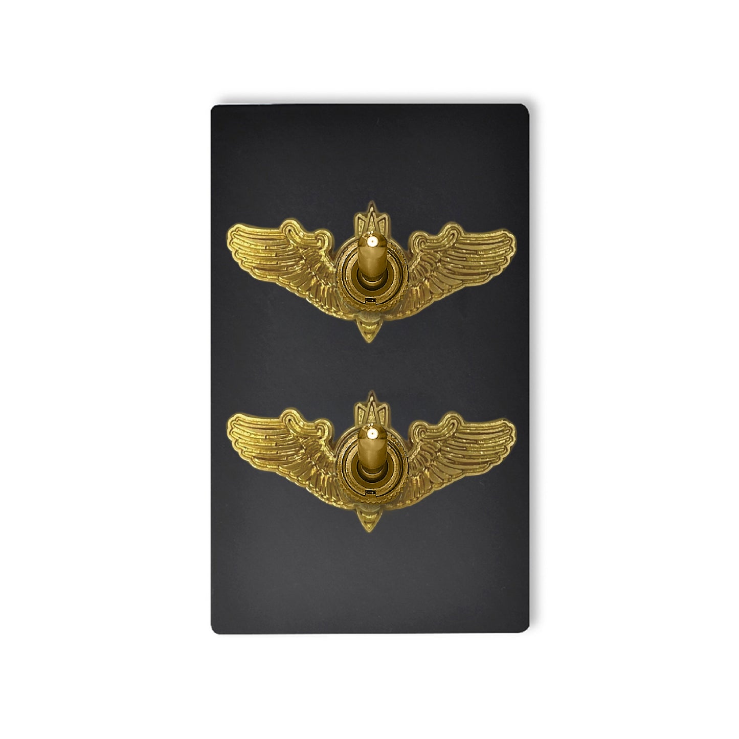 消光黑無螺絲面板-撥桿 DnH LOFT Shop