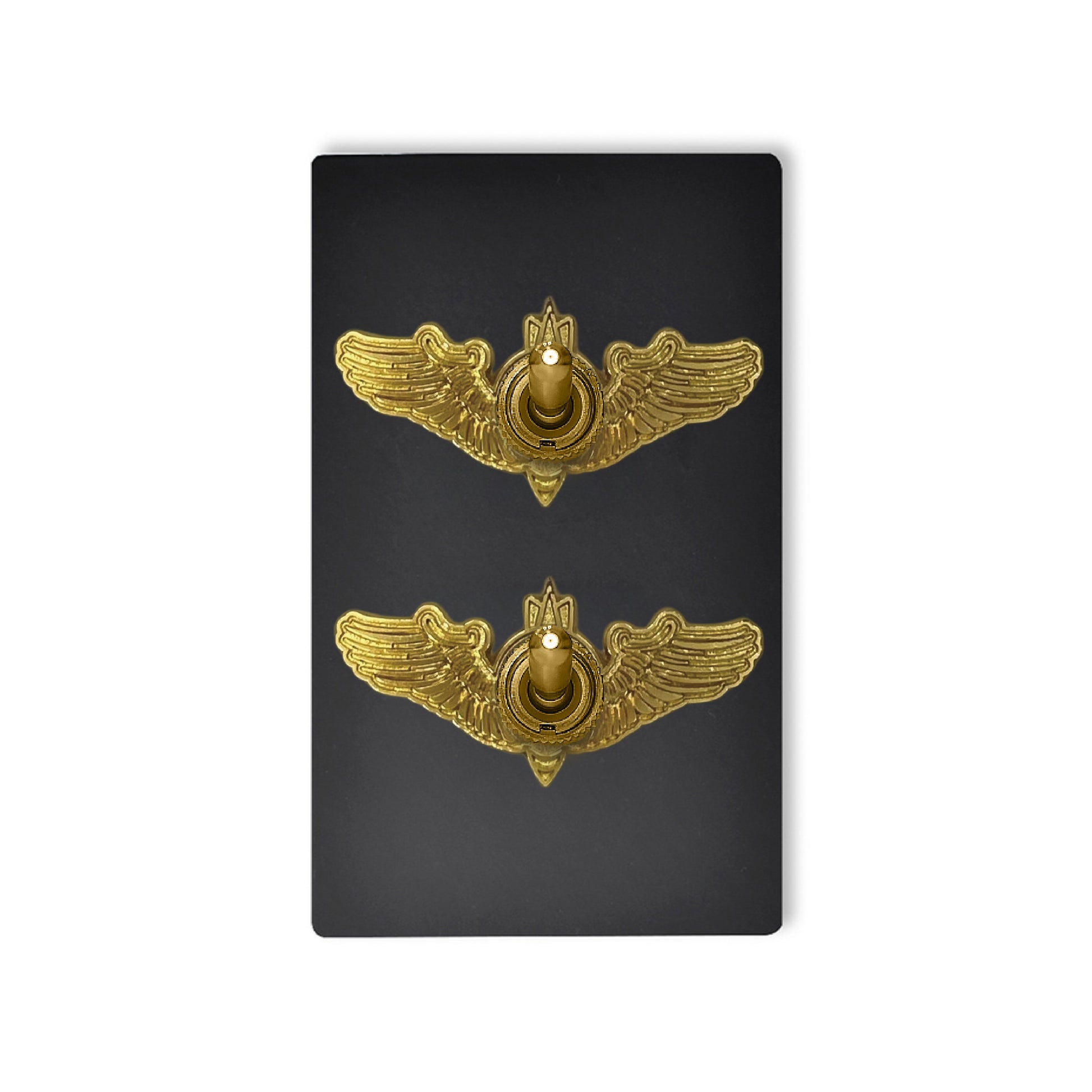 消光黑無螺絲面板-撥桿 DnH LOFT Shop