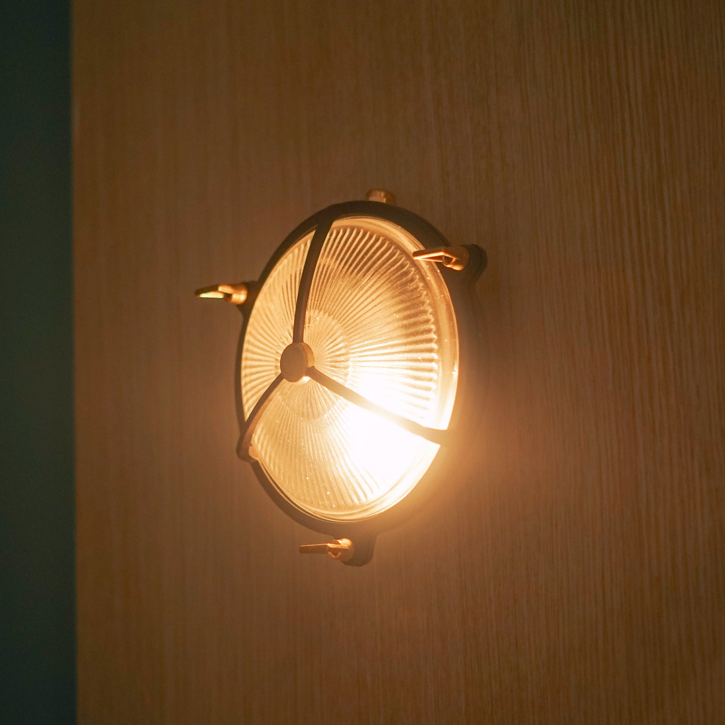 Brass Round Mesh Wall Lamp-02# Black