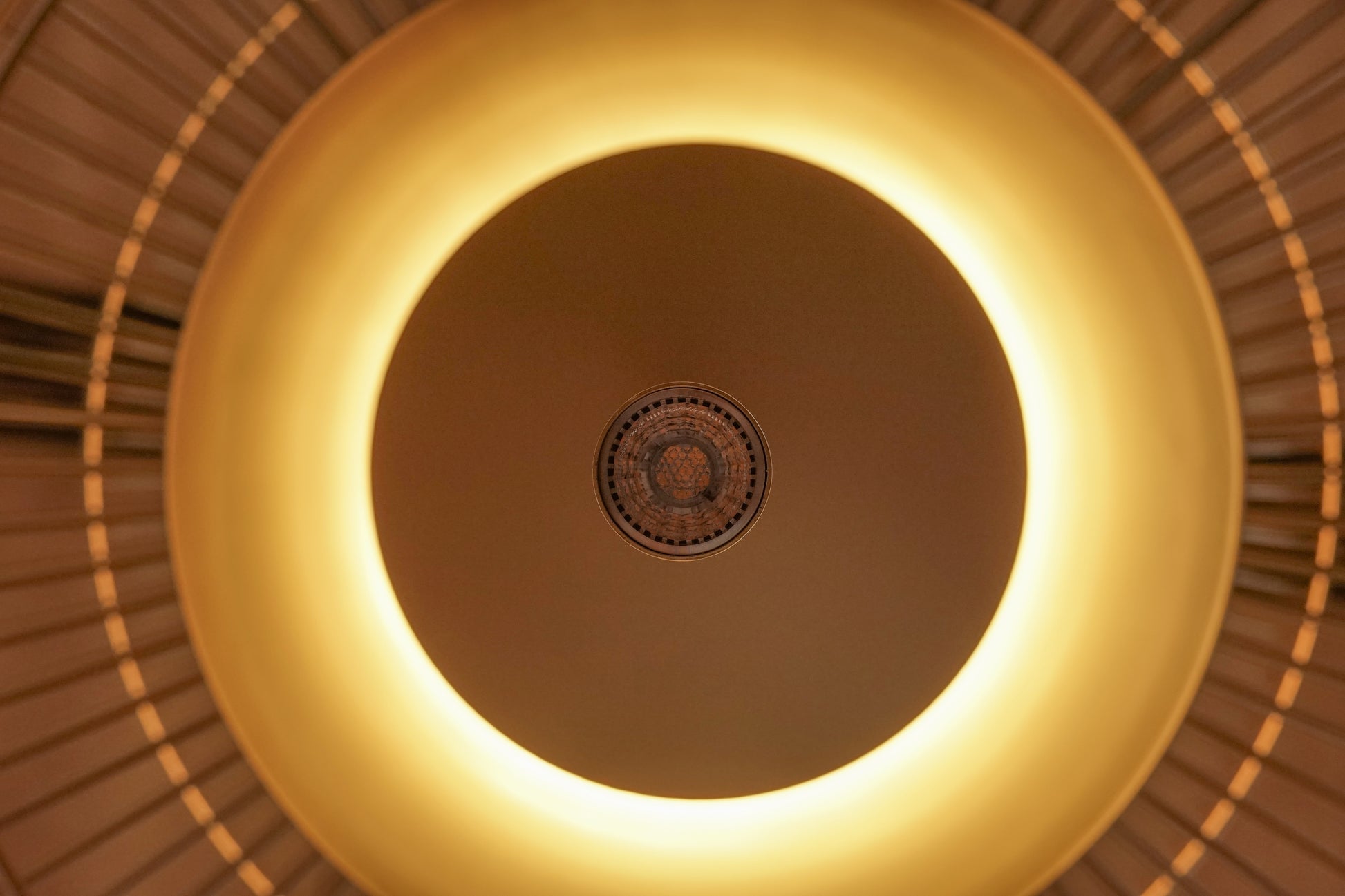 Forestier Gravity 2 Suspension Lamp (香檳金) OLDANMARK