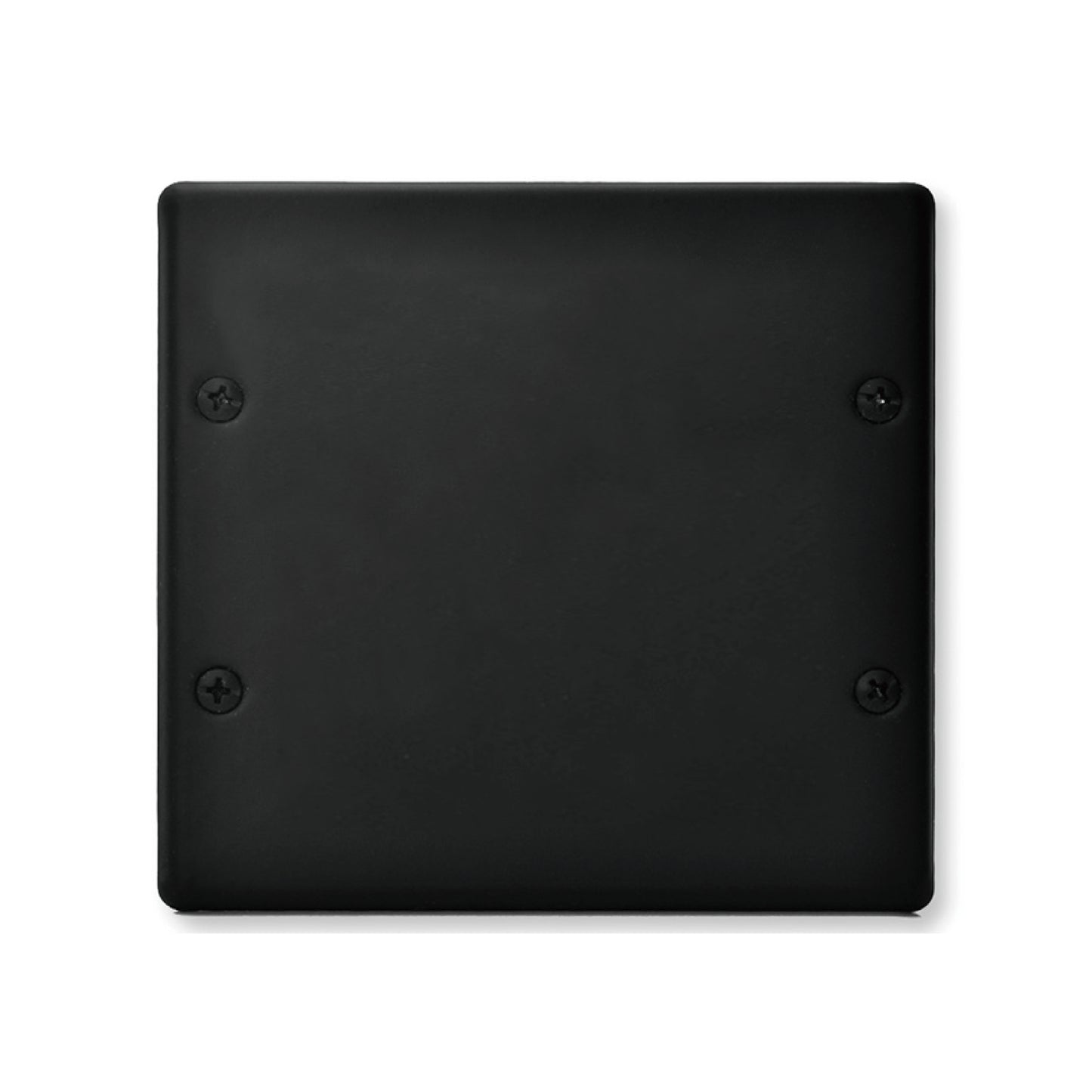 Matt black-Japanese style panel 