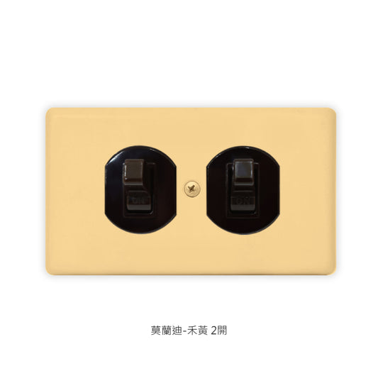 Morandi series American copper switch socket